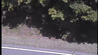 Wardensville: VA-55 EB - East of WV State Line - Day time