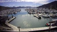 Picton › North-east: Waikawa Marina - Day time