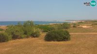 Cabras: Mari Ermi beach | Is Arutas - Oristano - Day time