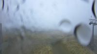 Pelkosenniemi: Pohjoisrinteet