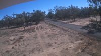 Quilpie Shire › South: Old Charleville Road - Day time
