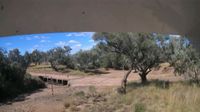 Quilpie Shire › East: Quilpie Thargomindah Road - Day time