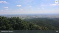 Dorrenbach: Stäffelsbergturm - Overdag