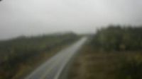Holyrood › North-east: Salmonier Line - Overdag
