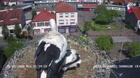 Sarralbe › North-west: Télé-Cigognes - Day time