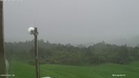 Whangamatā › South-east: Matakana Island - Day time