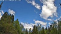 Norsjo › South-west: Kusforsvägen - Day time
