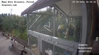 Brzezinka: Nowa Wieś Książęca - Overdag