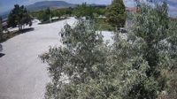 Kozagac Mahallesi: Konya B.Bel. Hayvan Barınağı ve Bakım Evi - Day time
