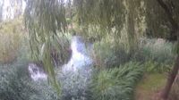 South Holland: Springfields Festival Gardens - Overdag