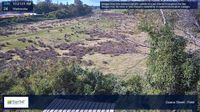 Maryborough › East: Guava Street - Day time