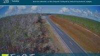 Boonooroo Plains › South-east: Boonooroo Road - Poona National Park - Day time