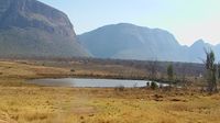 Mokopane › North-west: Honeyguide Conservation Lodge - Mmadikiri - Day time