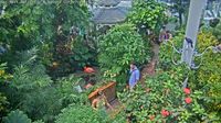 Tamarac: The Key West Butterfly and Nature Conservatory - Duval Street - El día