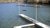 Immenstadt im Allgau › North: Wassersportschule Oberallgäu - Bühl a.Alpsee - Großer Alpsee - Day time